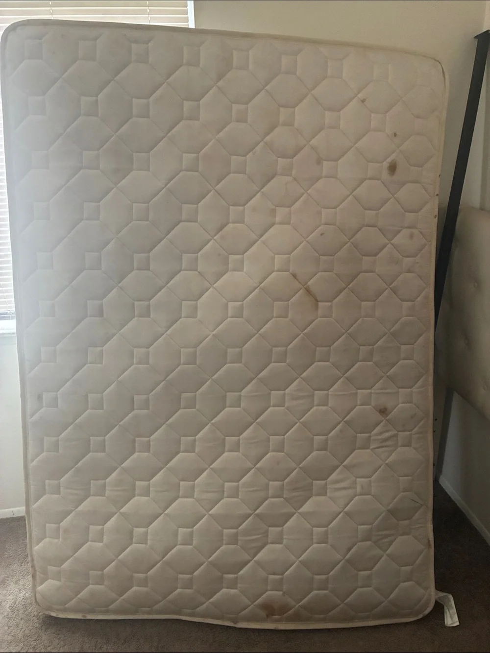 N/A comfortable white
